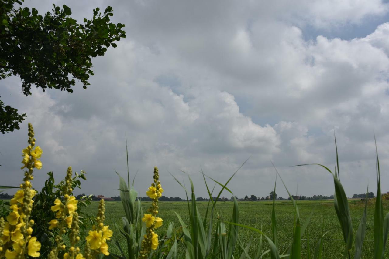 Tjeukemeer, De Friese Meren Rohel